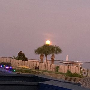 Meet your Posher, Genie